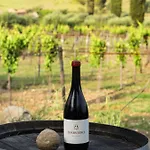 Tenuta Rustica 1519 Pensjonat