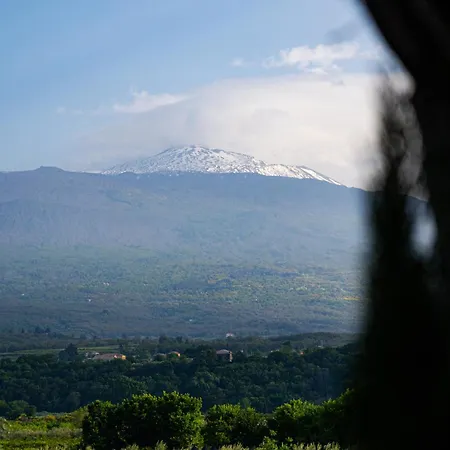 招待所 Tenuta Rustica 1519